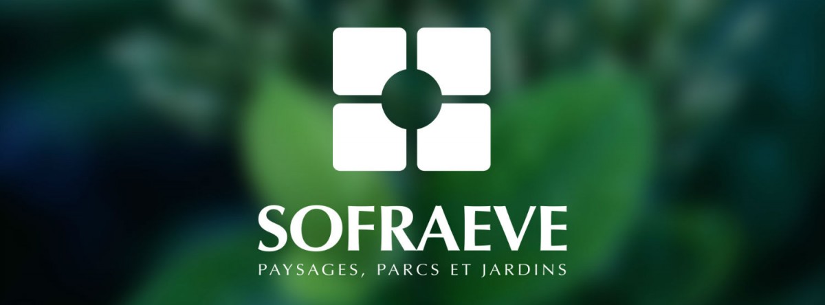 Sofraeve – Stratégie et site internet