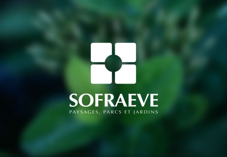 Découvrir le projet Sofraeve – Stratégie et site internet