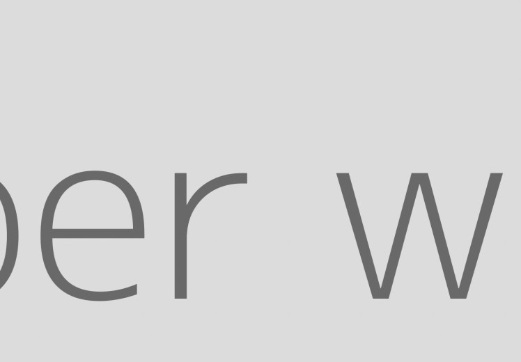 Maquette test-super-wide.jpg